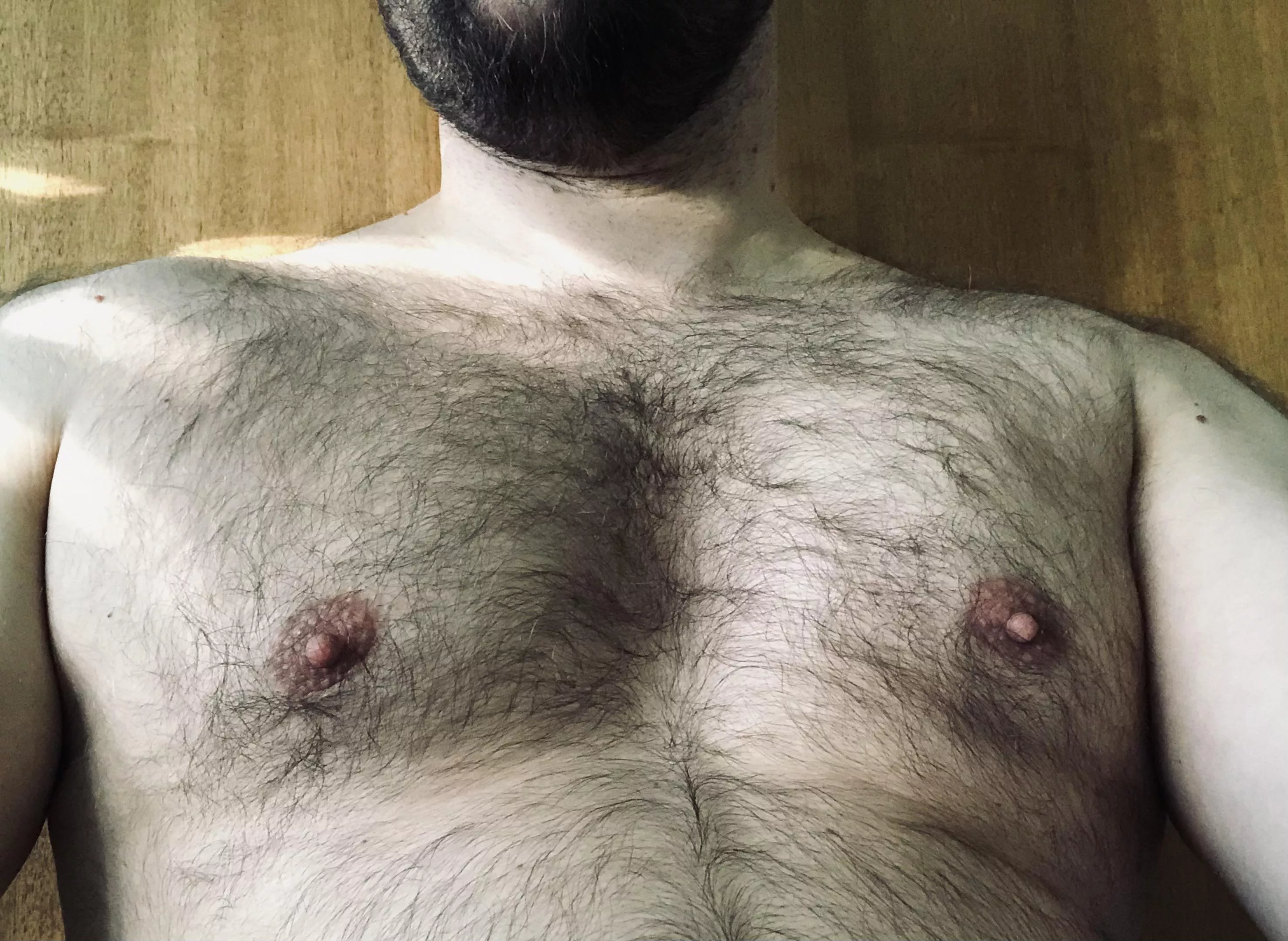 Would I pass for an otter? posted by duckanor