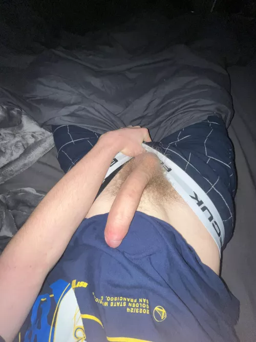 any bwc lovers? by Historical-Squash944