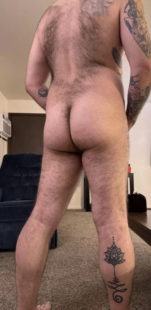 Any love for a hairy back? by Sneaky_platypus37