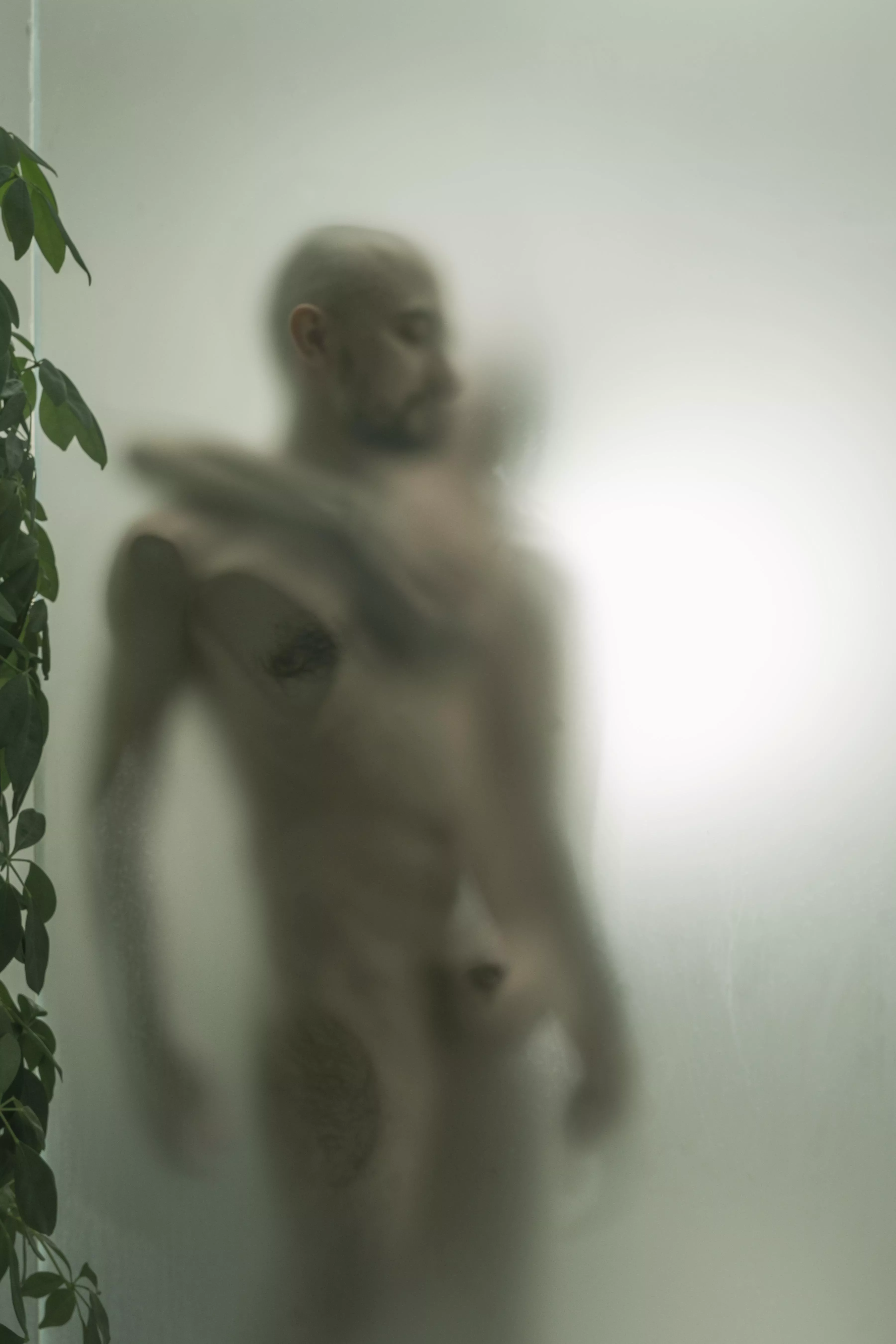 behind the glass posted by Homo1udens