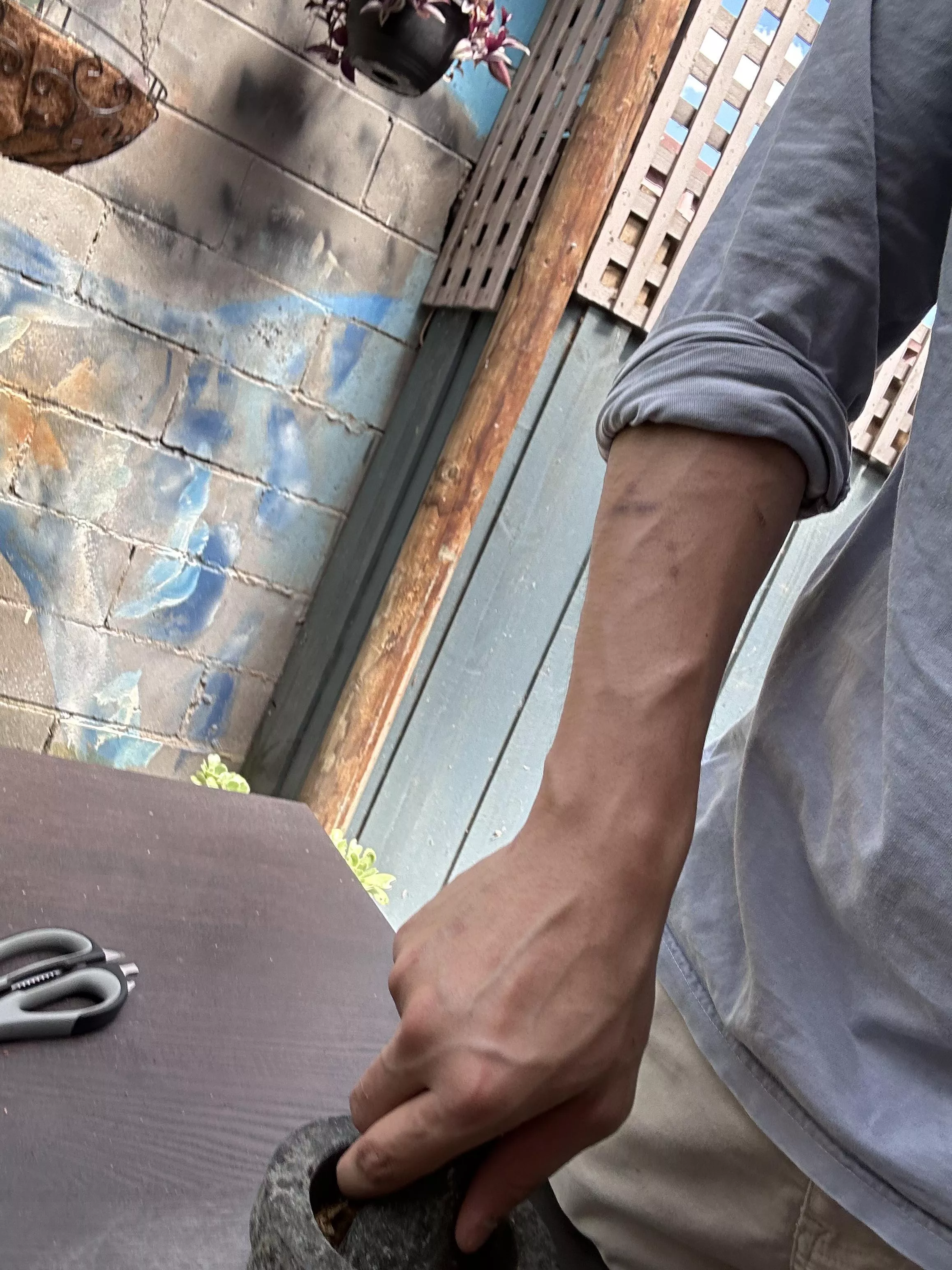 Certain birdie brought me here posted by Remarkable_Inside779