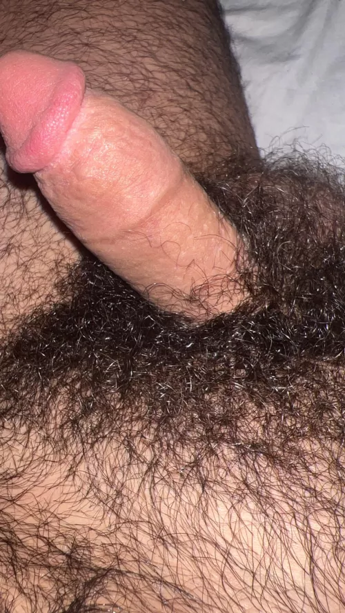 Come sniff my heavy arab pubes by Former_Judge6015