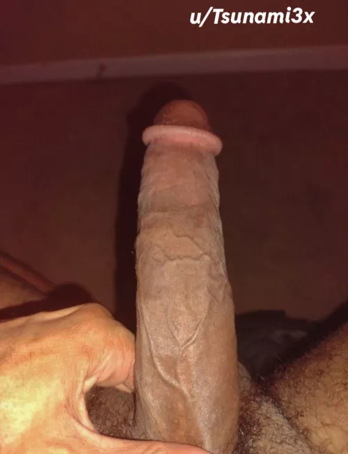 Does This Community Like Veiny Thundercock's ⚡🐔 by Tsunami3x