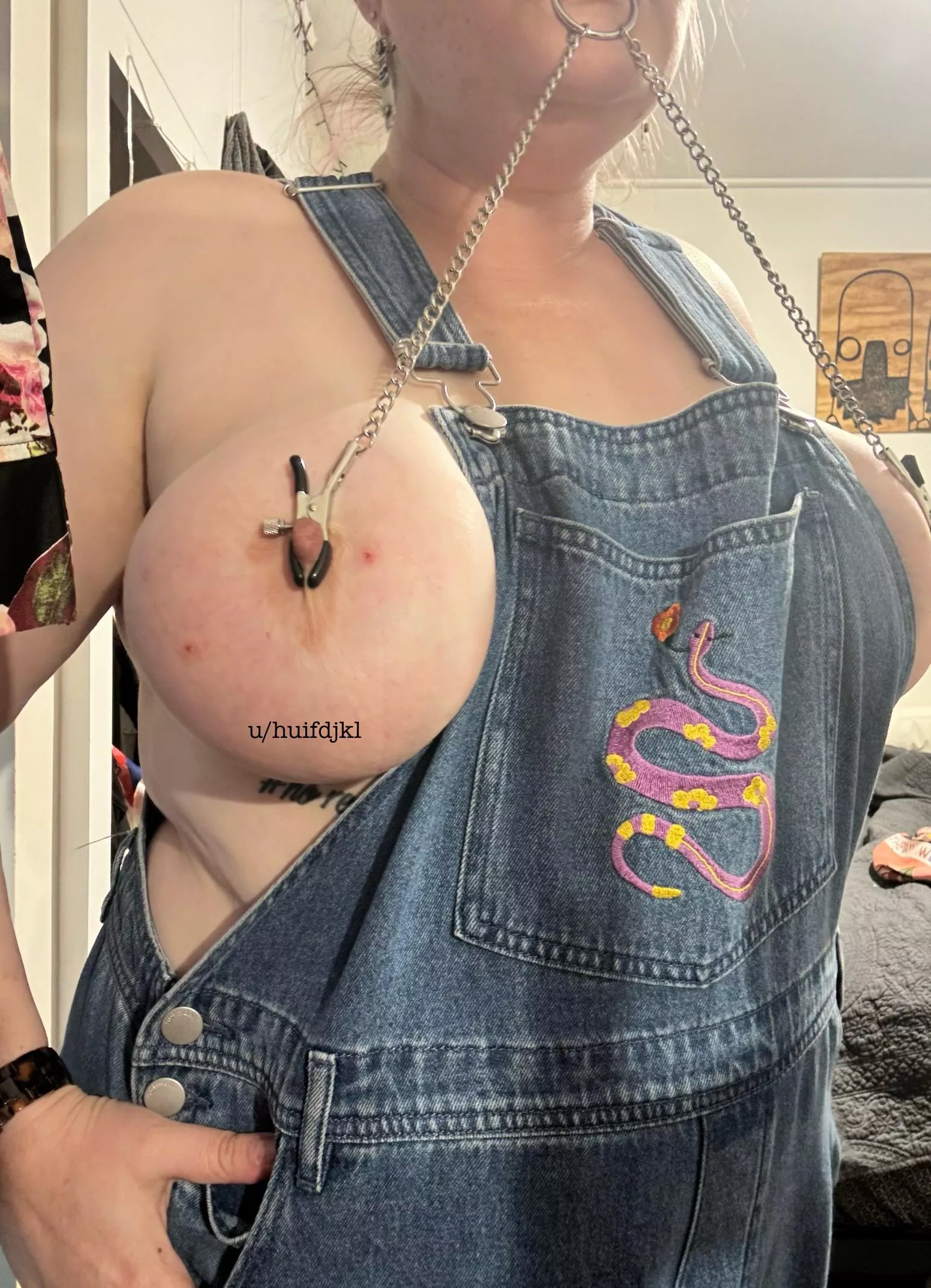 Dungarees and nipple clamps. Need I say any more? (33) posted by huifdjkl