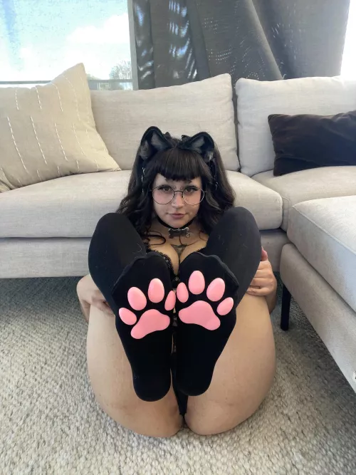 good morning meow! by piicklesxx