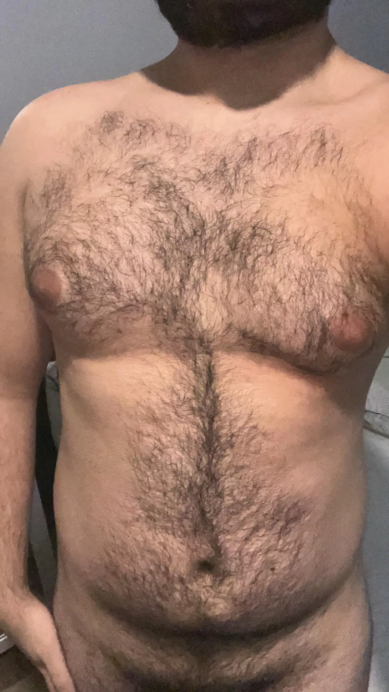 Hairy arab chest posted by Former_Judge6015