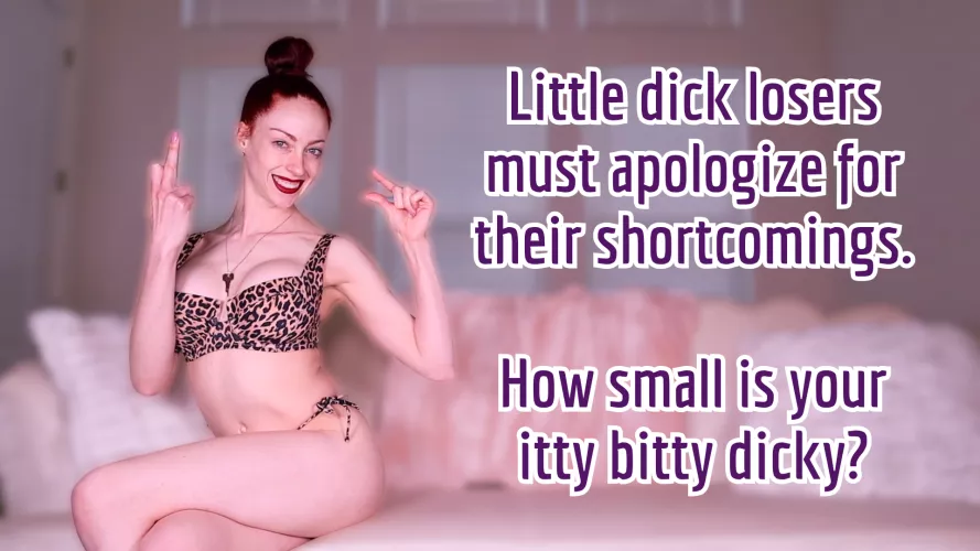 Hey, loser. I'm curious. How small is your tiny little dick? [Goddess Nikki Kit] by GoddessNikkiKit