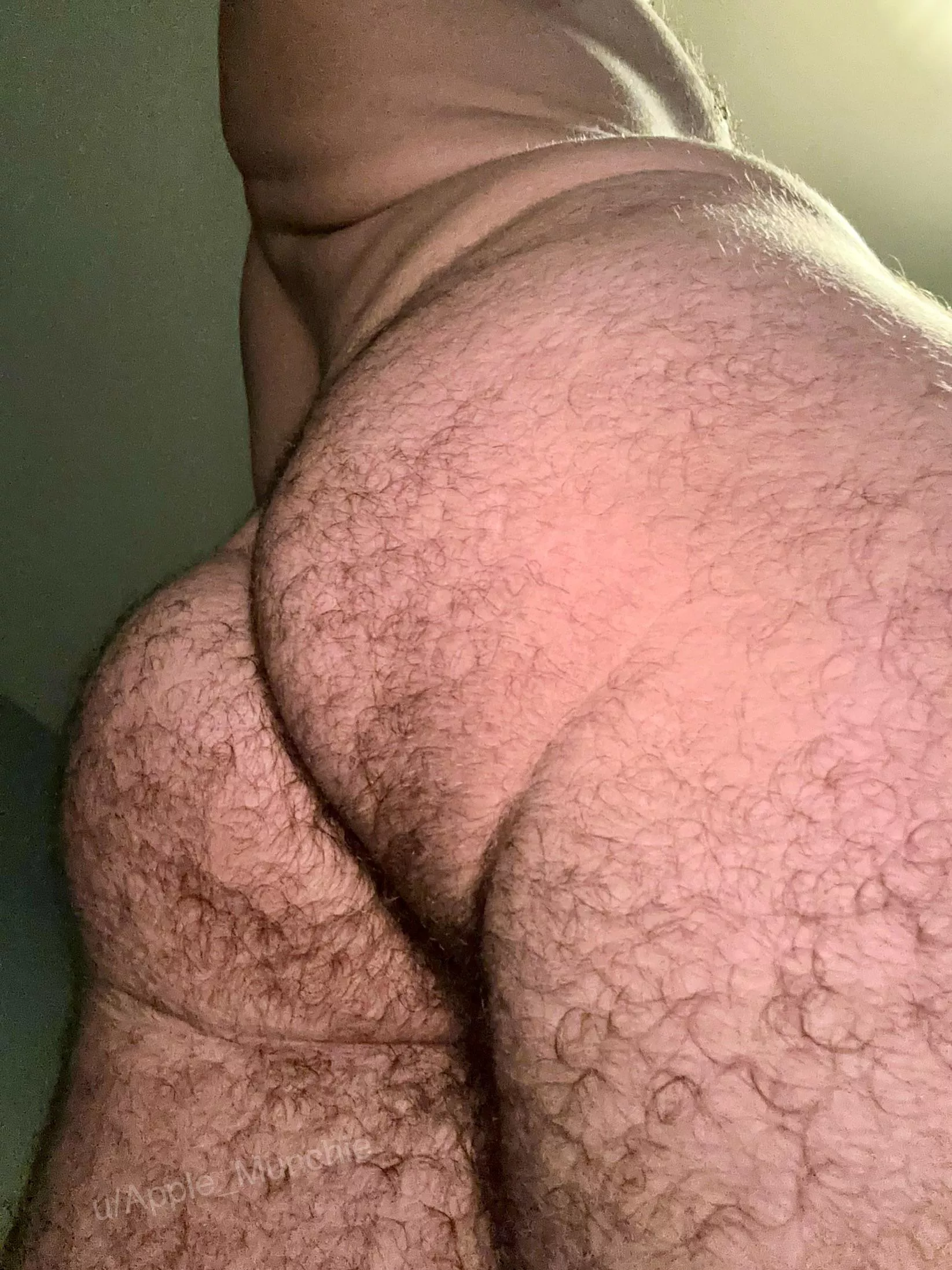 Hope you like my hairy ass posted by Apple_Munchie