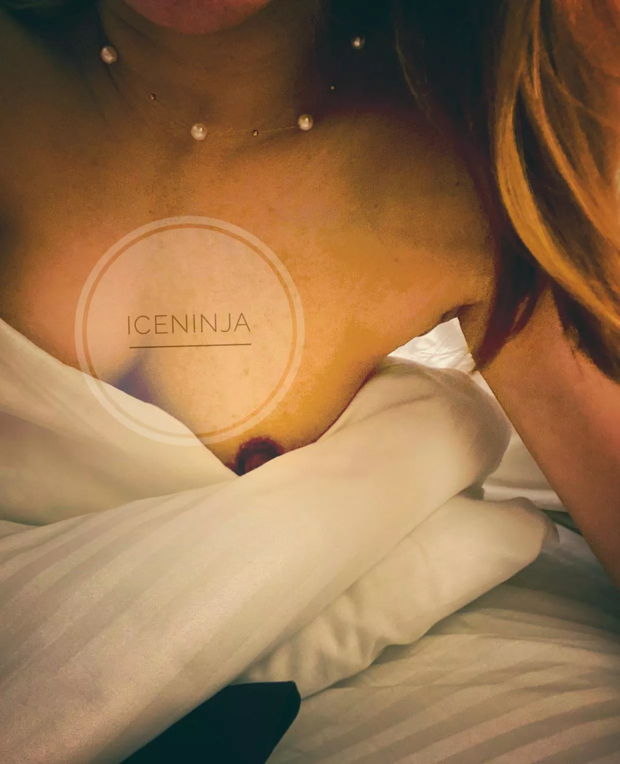 Hoping this is (f)ine enough for you… posted by _IceNinja