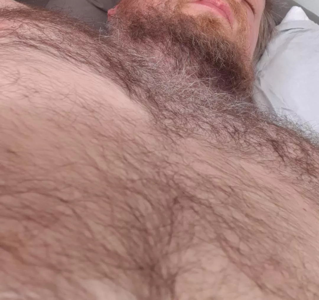 Is grey ok? (39) posted by Holla454