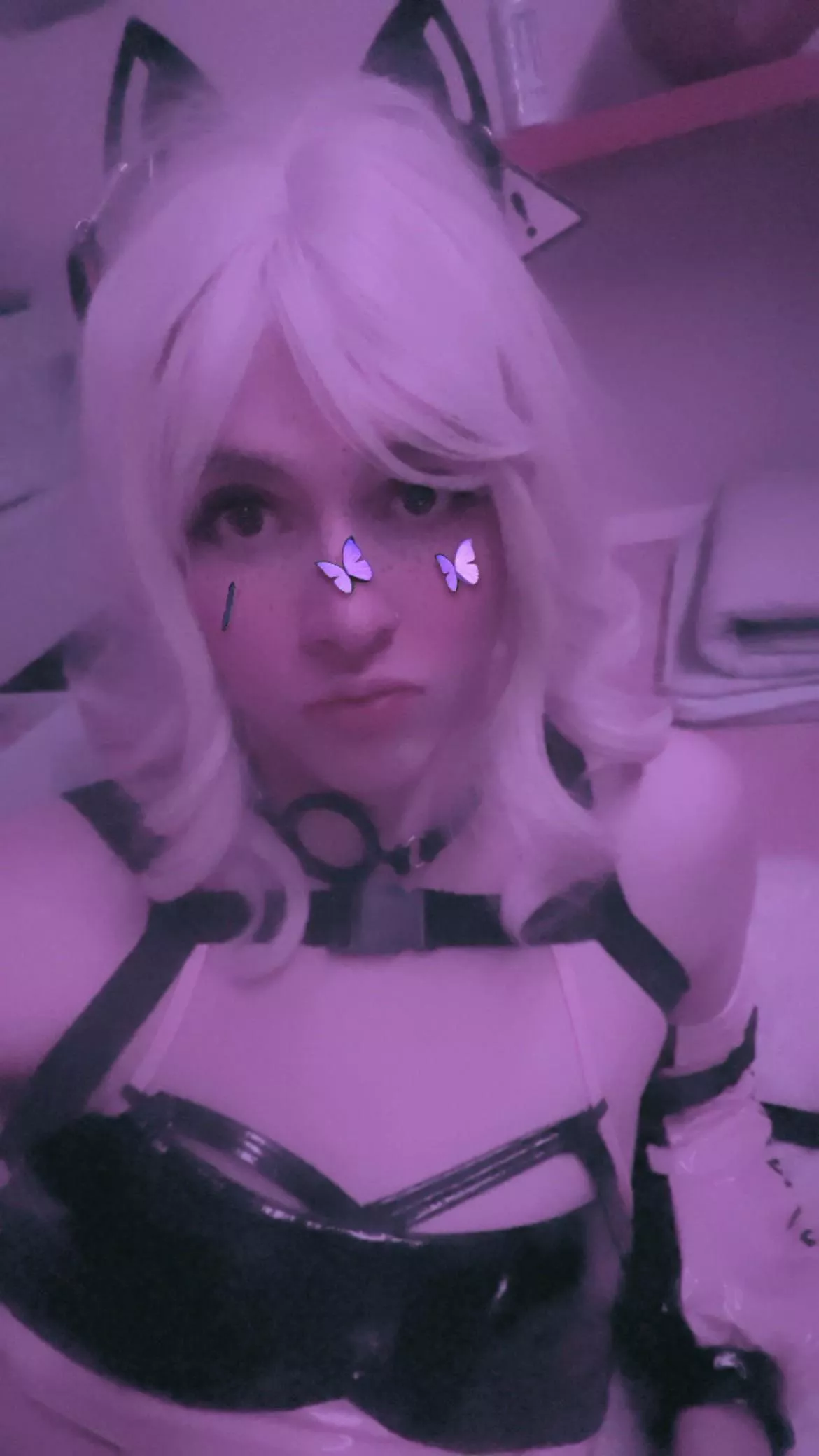 Meow? posted by xIDJN