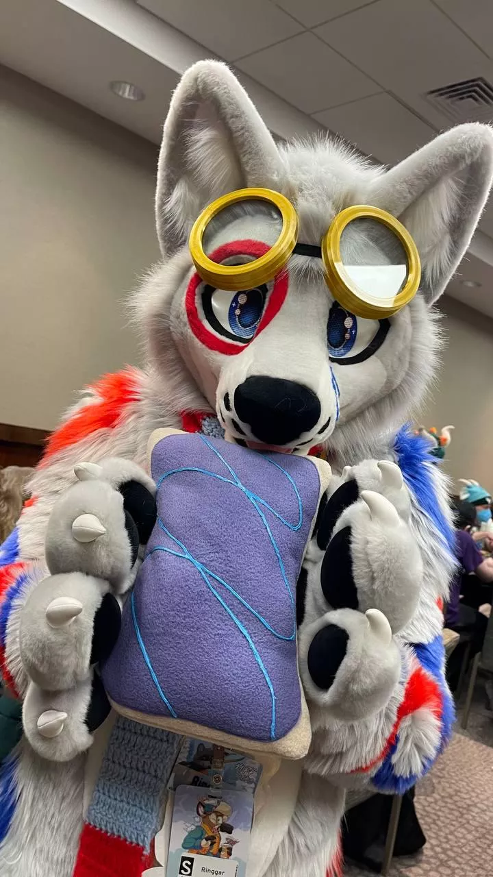 Pop-Tarts are an essential part of a circle wolf's diet! posted by Infamous0823