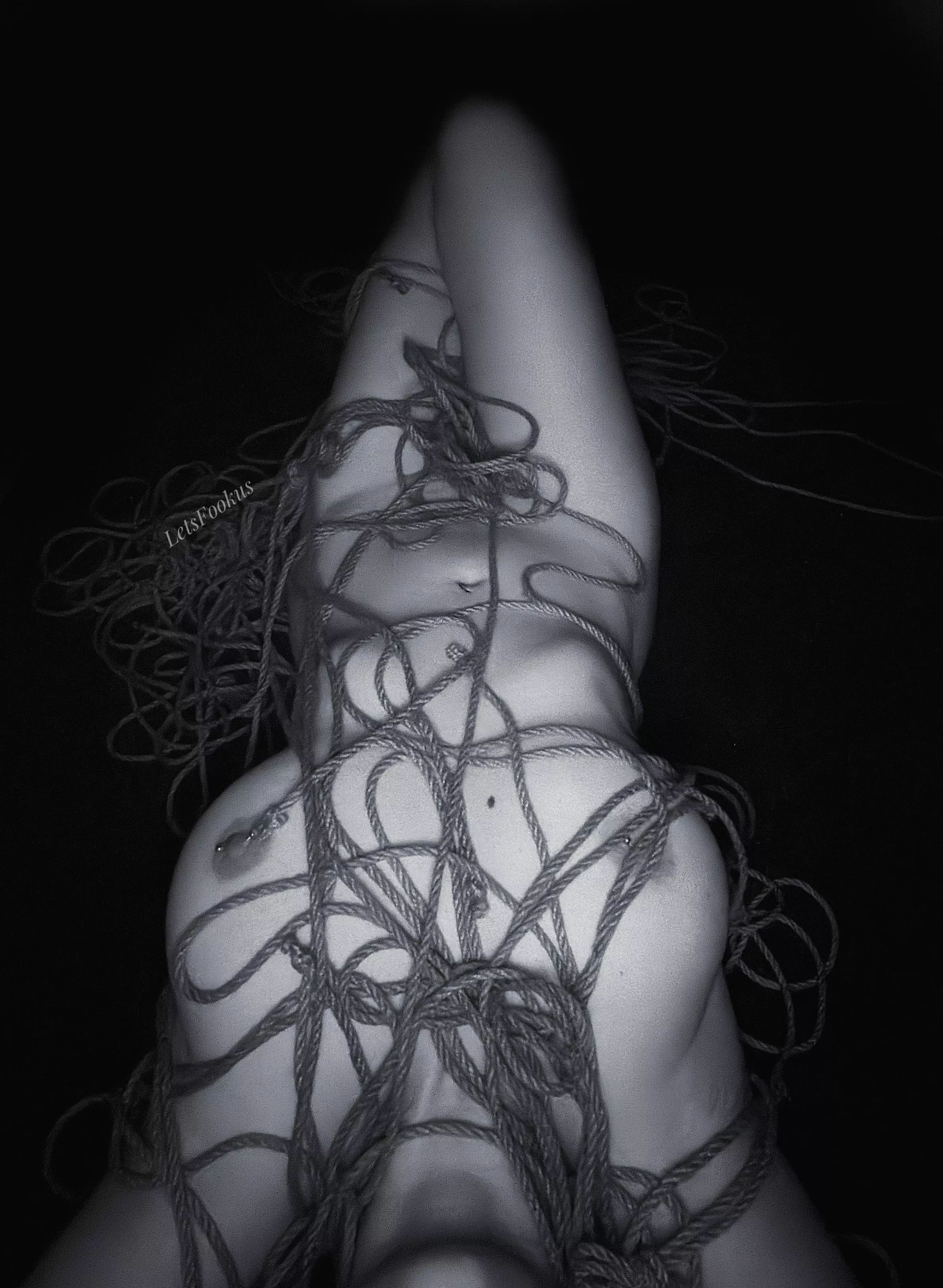 Rope is my favorite toy posted by LetsFookus