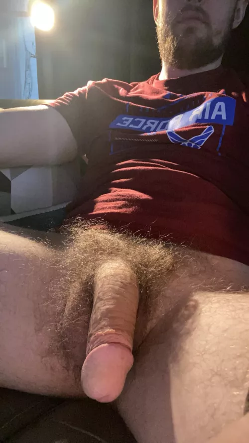 Snake in the bush by Tat246squared