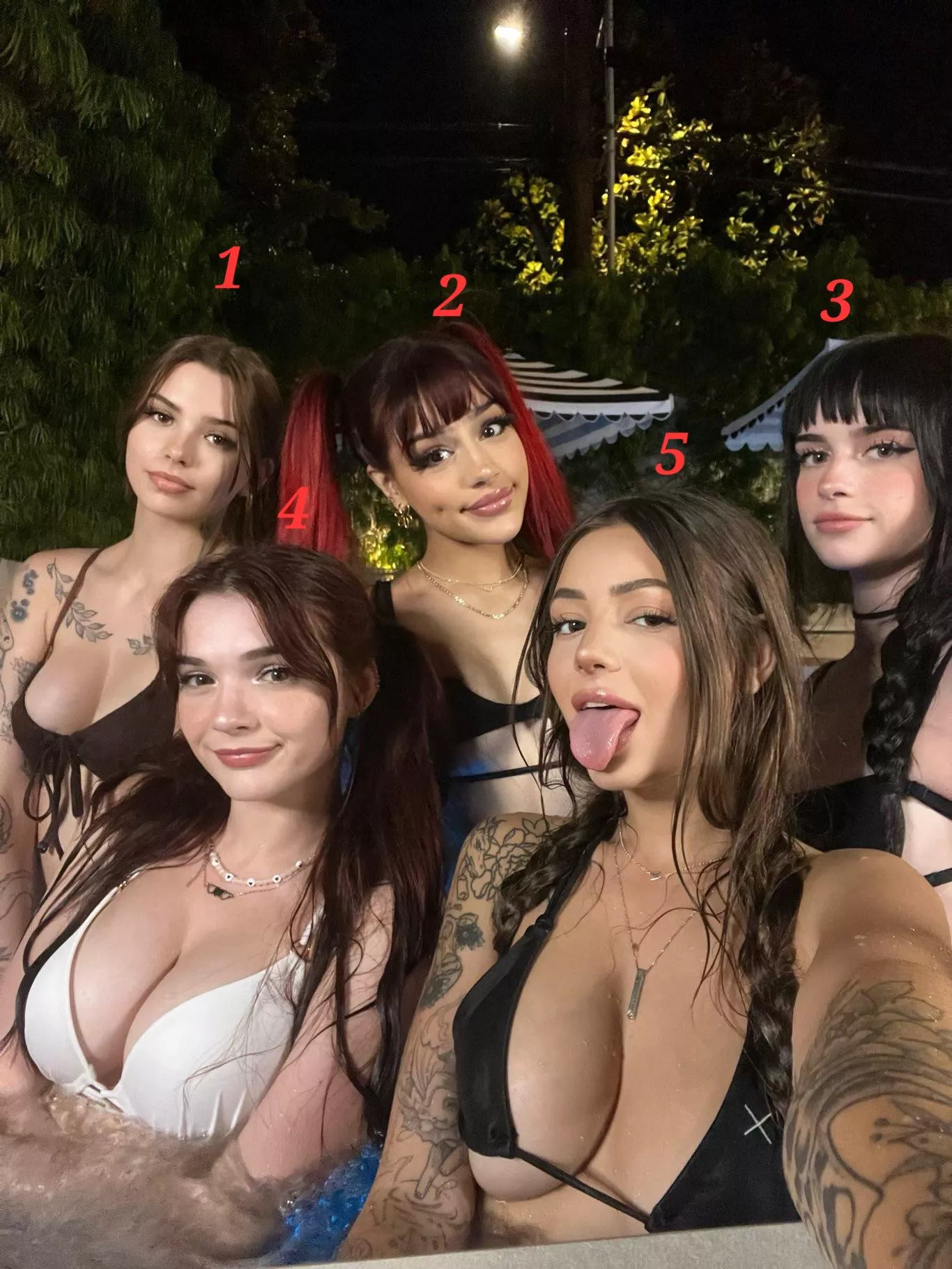 Who Are You Taking Out Of The Hot Tub? [5] posted by damonboom