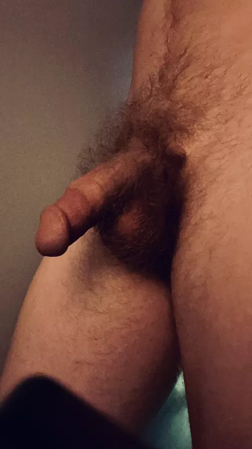 Who wants to feel this bush on their face? by beerzNbriefz