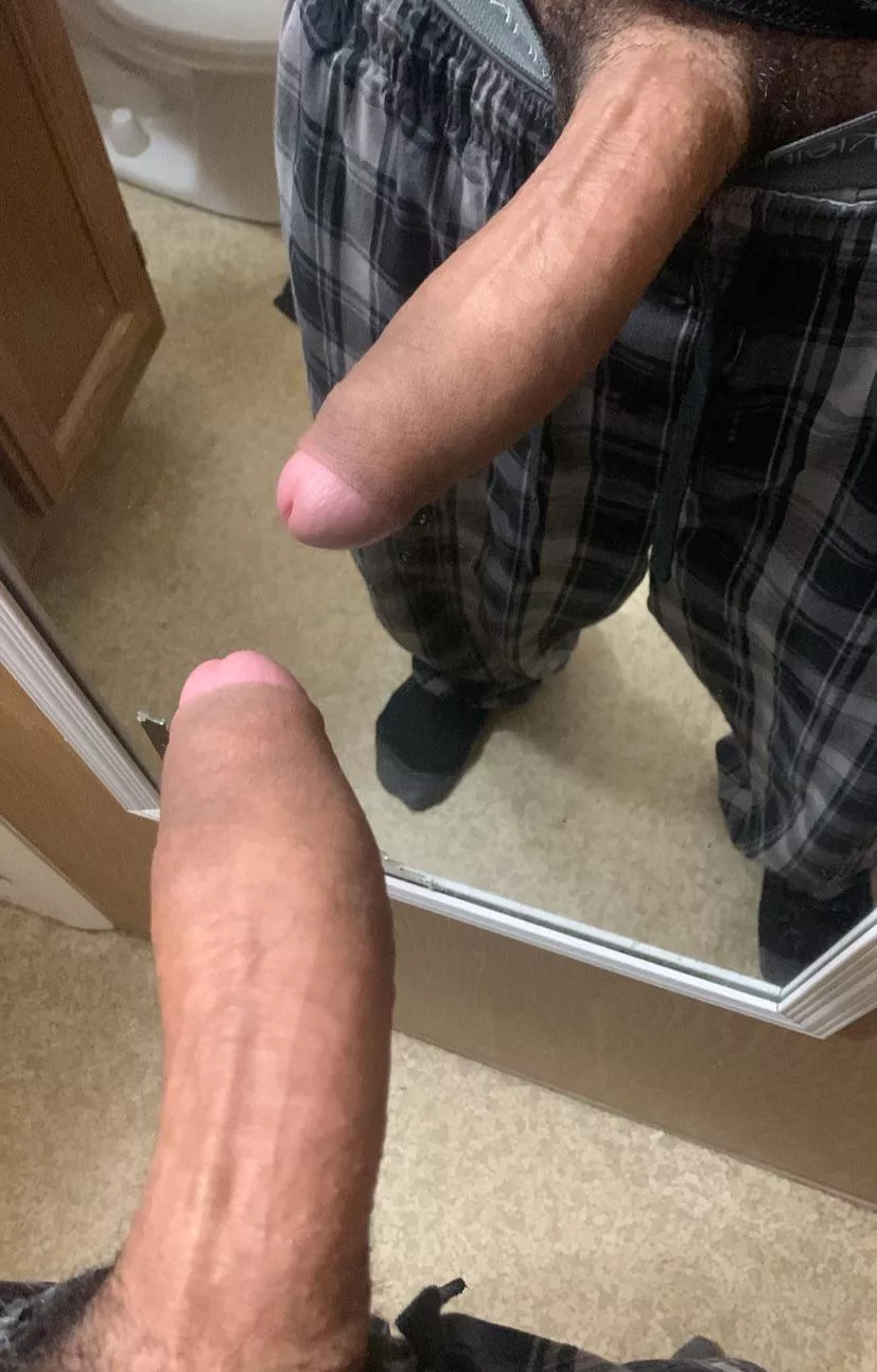 18 wish someone would stroke it for me posted by borednhrny88