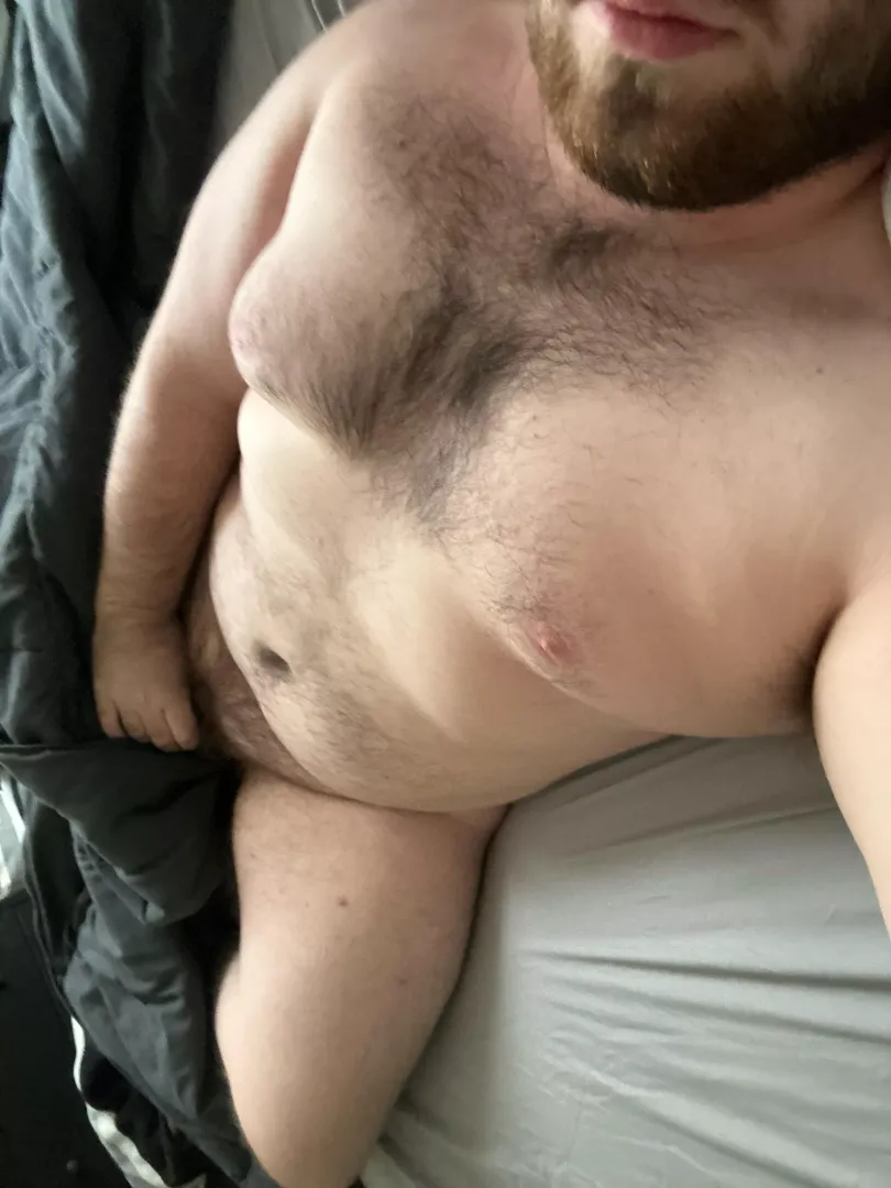 21 college bear, stroking my thick morning wood. DMs open ;) by wisedylan7