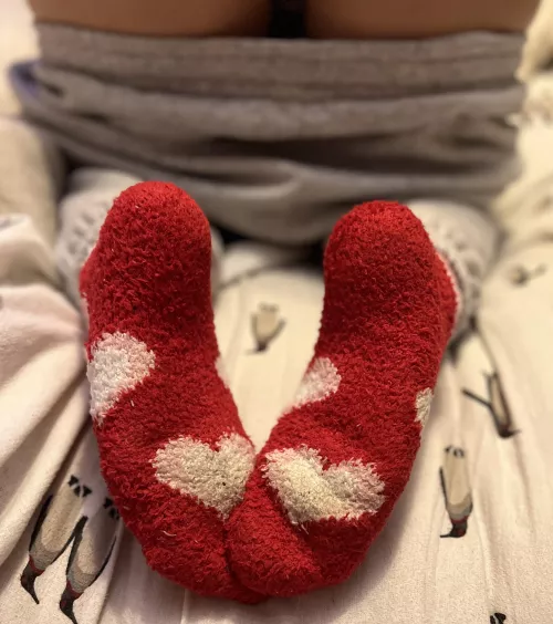 Fuzzy ❤️ by penelopes_nectar