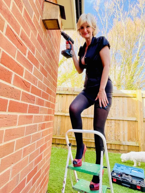 How lucky is Gran?! I erect a bird box in my garden, and straight after, a couple of great tits appear!! Wanna see? 🤔 Infact, you may even get a closer look at my box 🤫🤣 by LAURENSPENCERUK