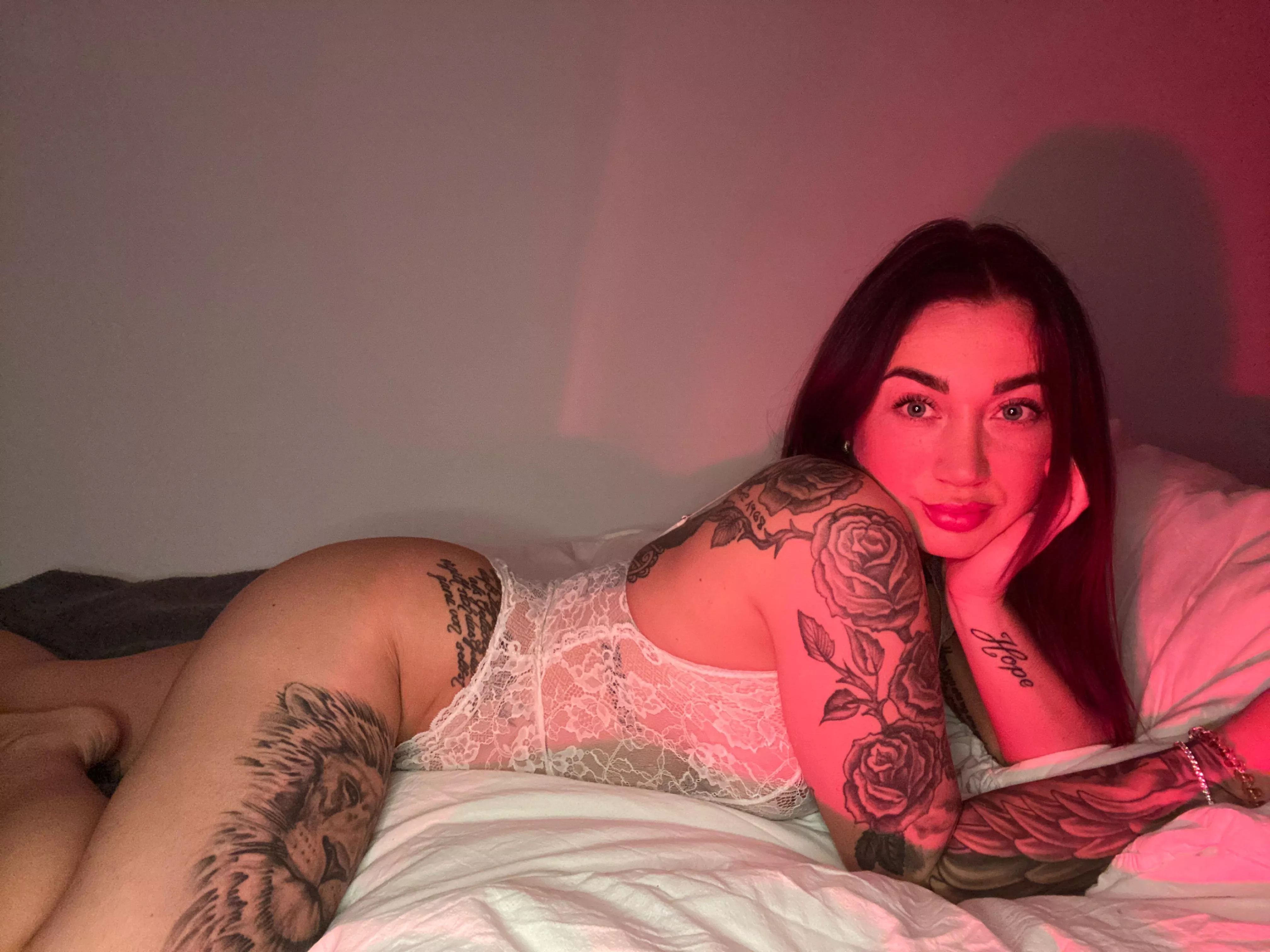 is that a nice welcome ? posted by boitefolkmootb01