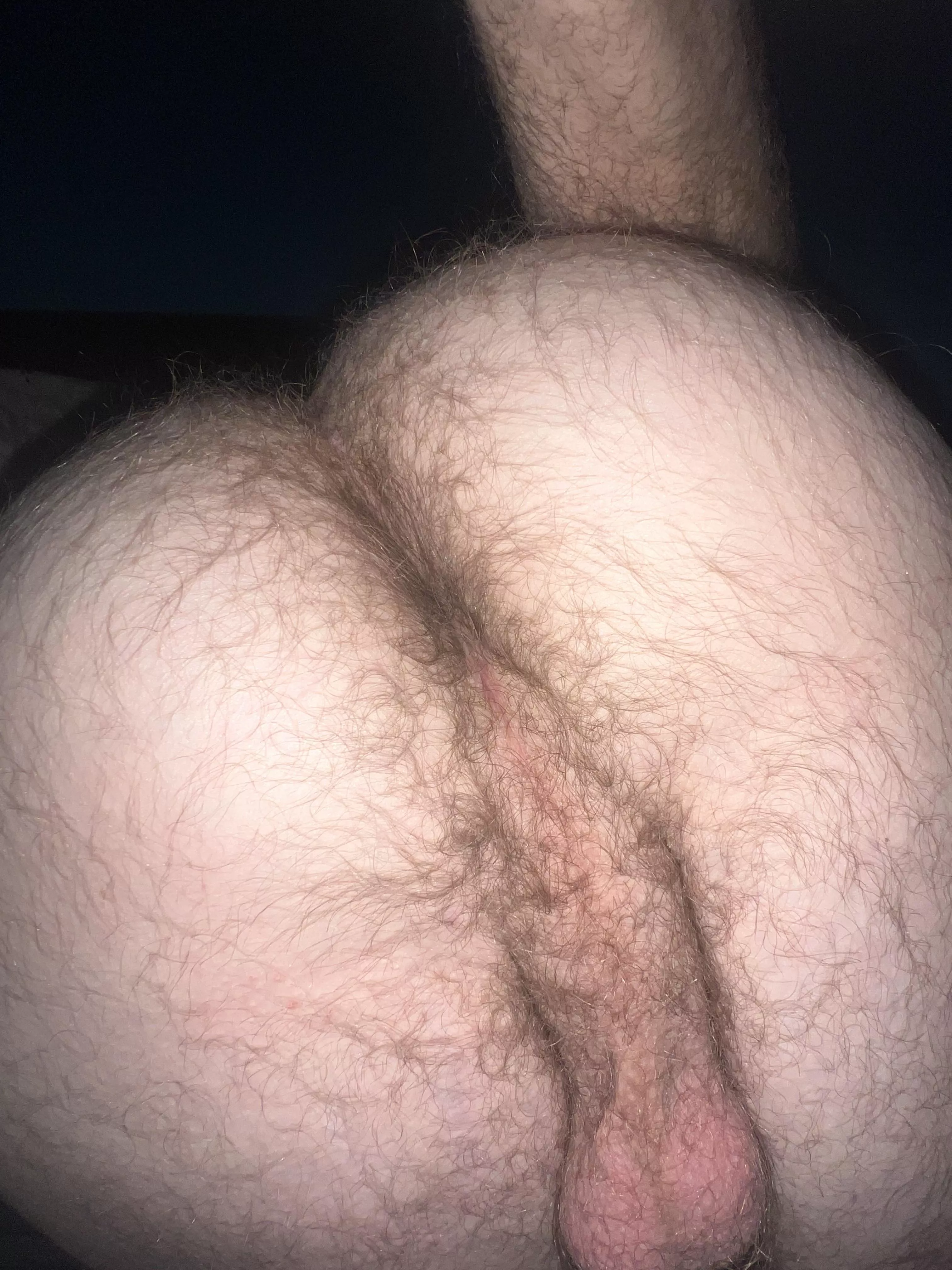 Lick my hairy ass all you want 👅 posted by FartsTX