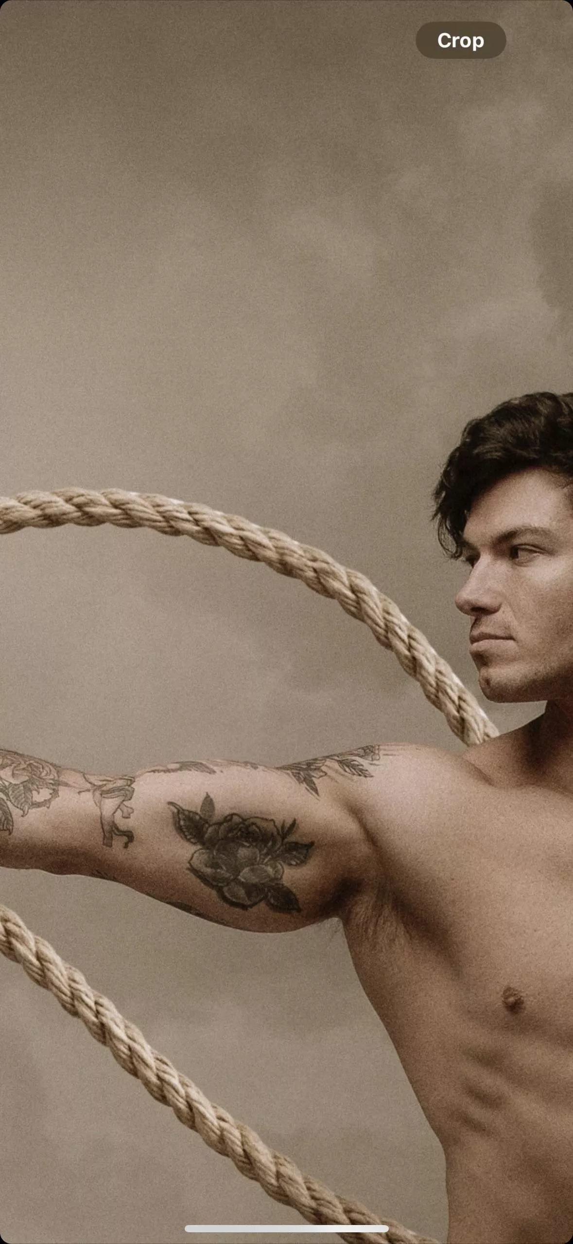 Like the pit? posted by AlexSchimmsky