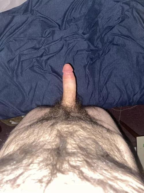 My bush 👍🏻 or 👎🏻 by GoonFor-ToMe