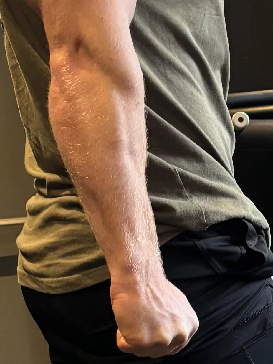 My forearms during a workout. posted by Bearded_alpha1