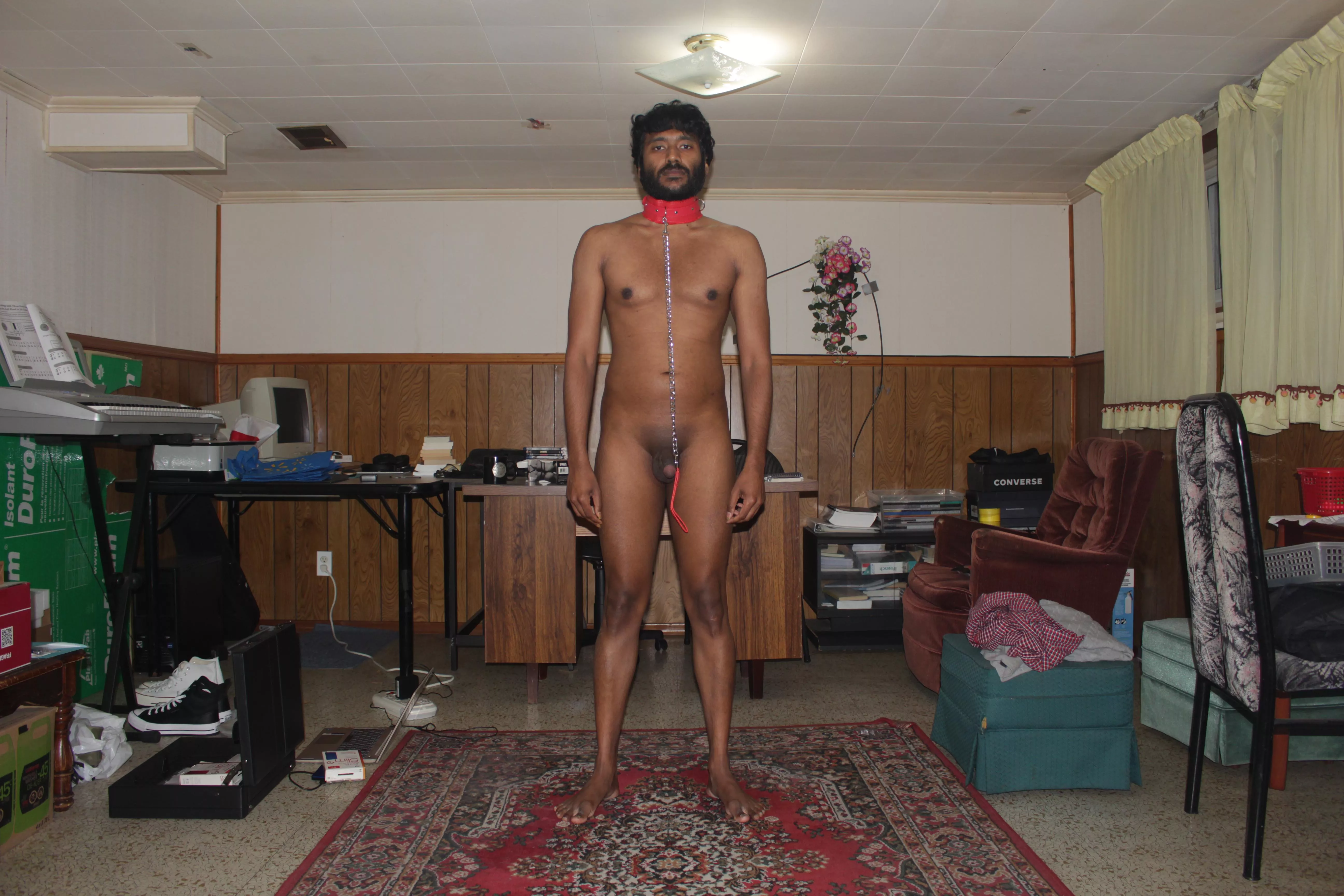 Puppy wants an owner posted by lifeisshort9910