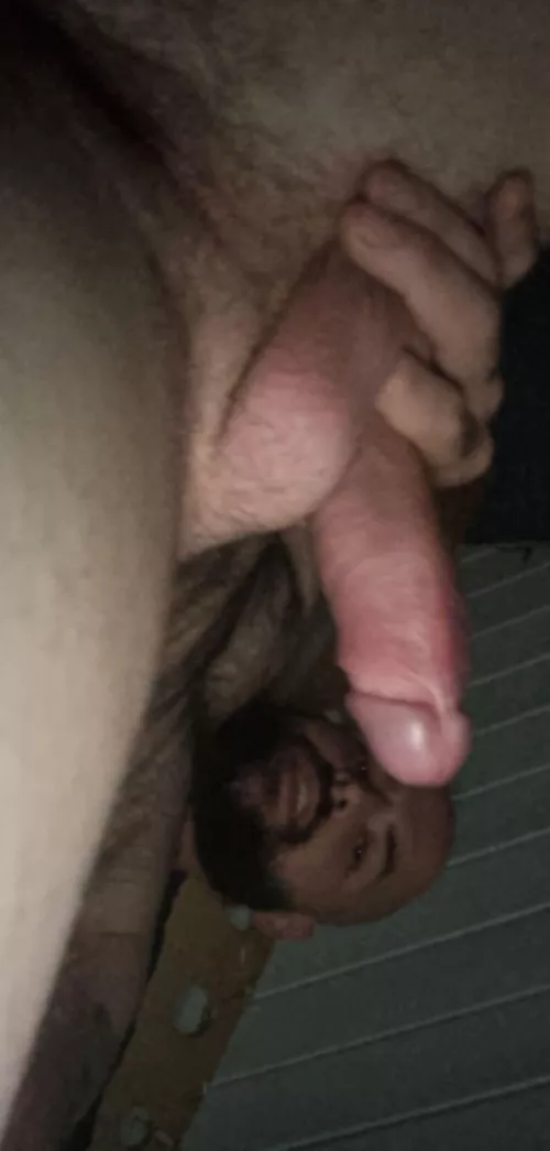 Sniffed out my face, wanna show off to an old man by Clean-virus2