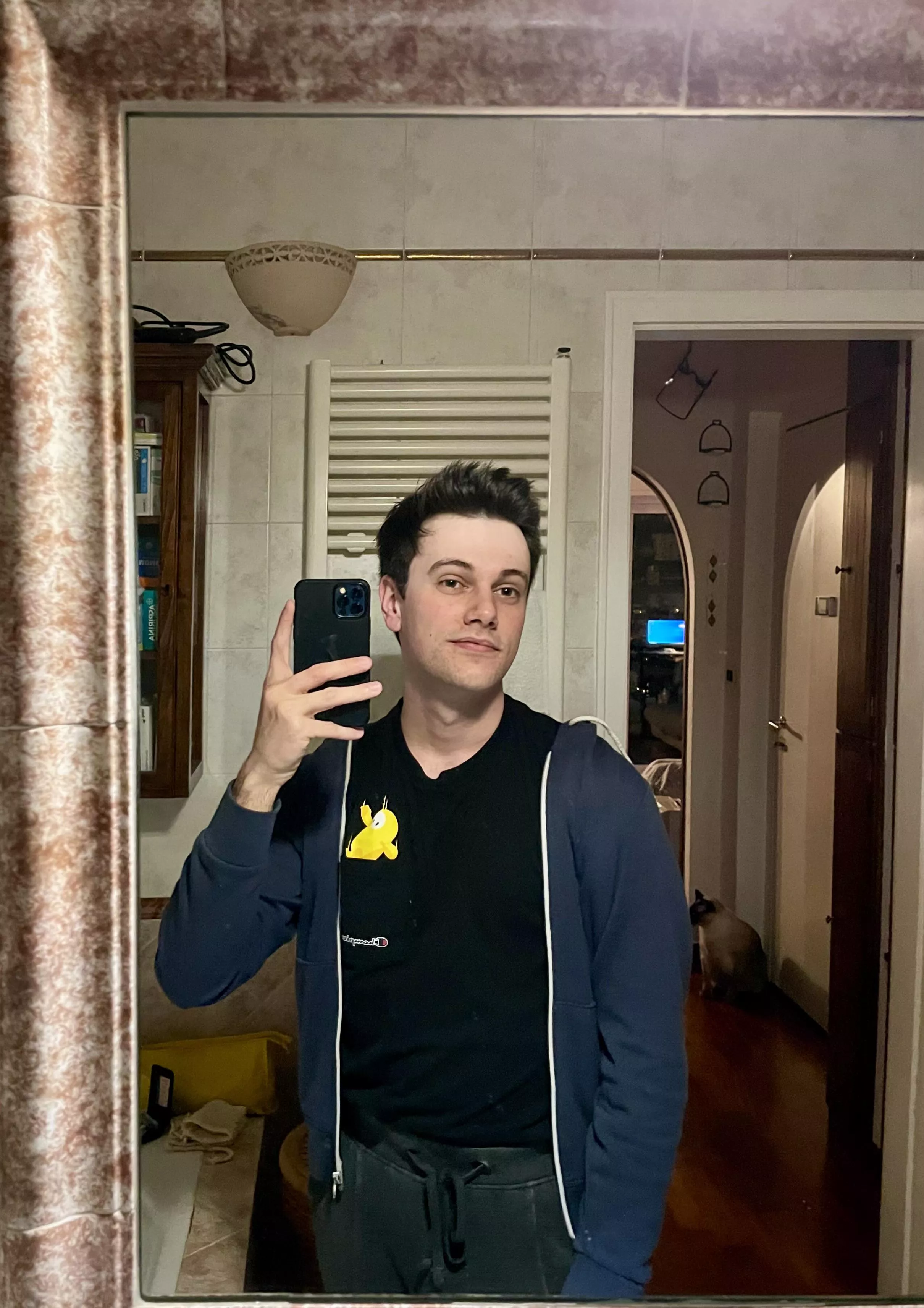 Spot the cat posted by Salt-Honeydew354