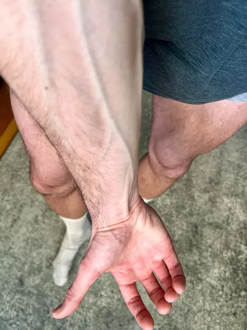 The sunlight is hitting perfectly by mrhollywoodjack2