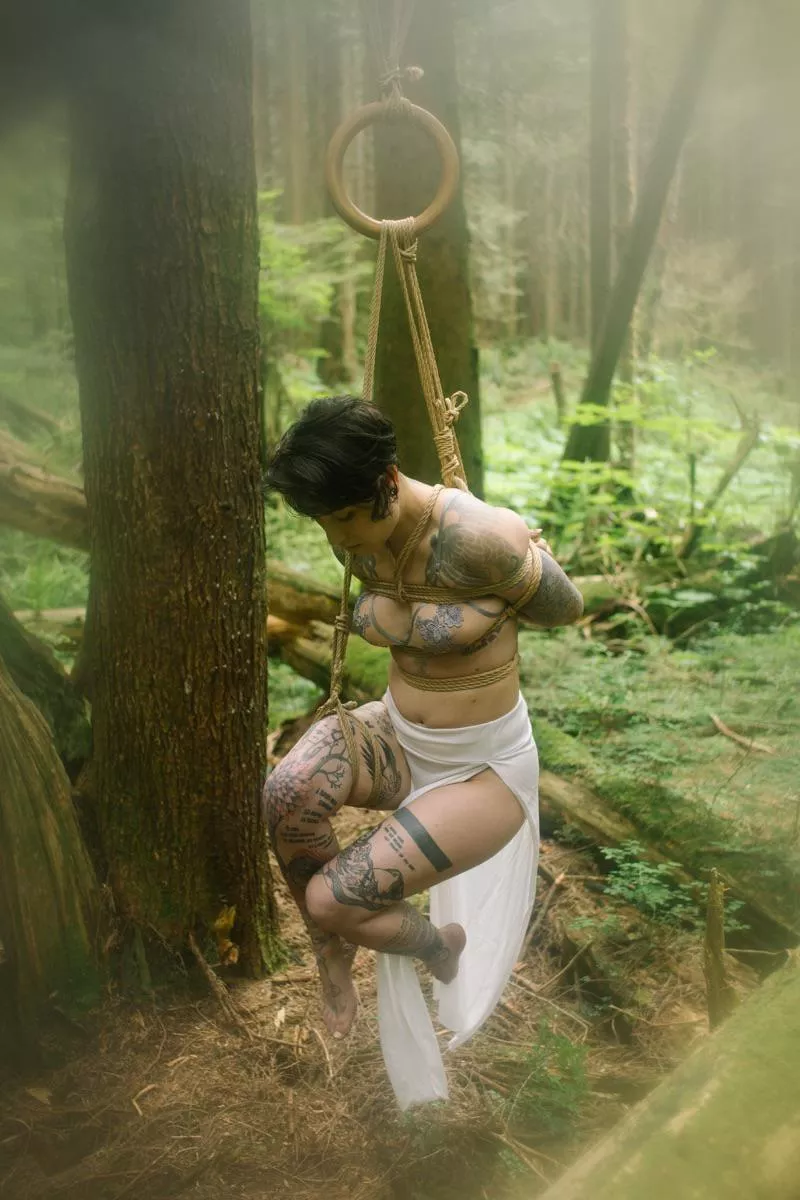 wood suspension posted by UrsinaeVespera