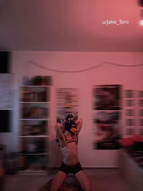 (20) sniff or pass? 😅 by Jake_Taro