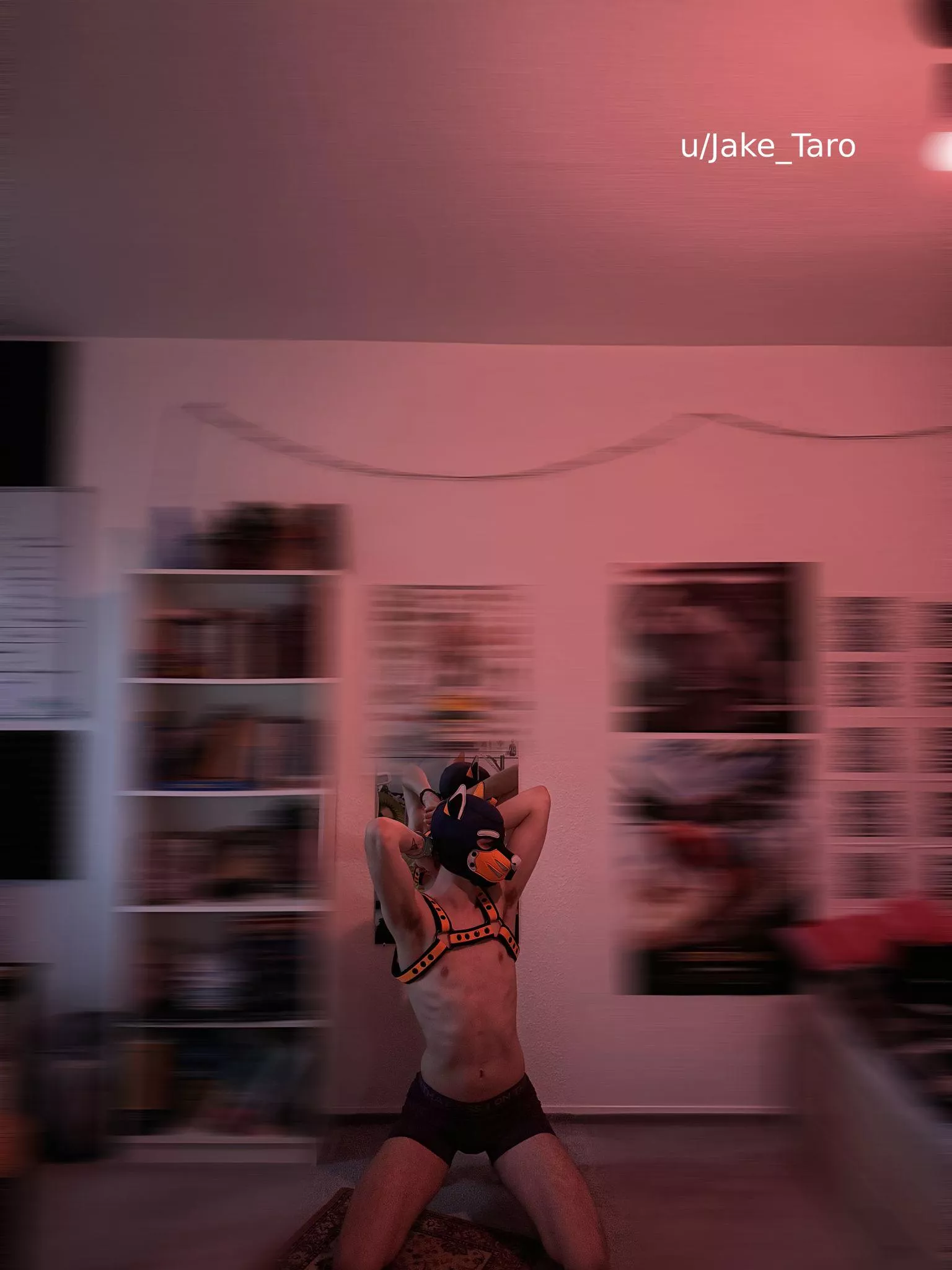 (20) sniff or pass? 😅 posted by Jake_Taro