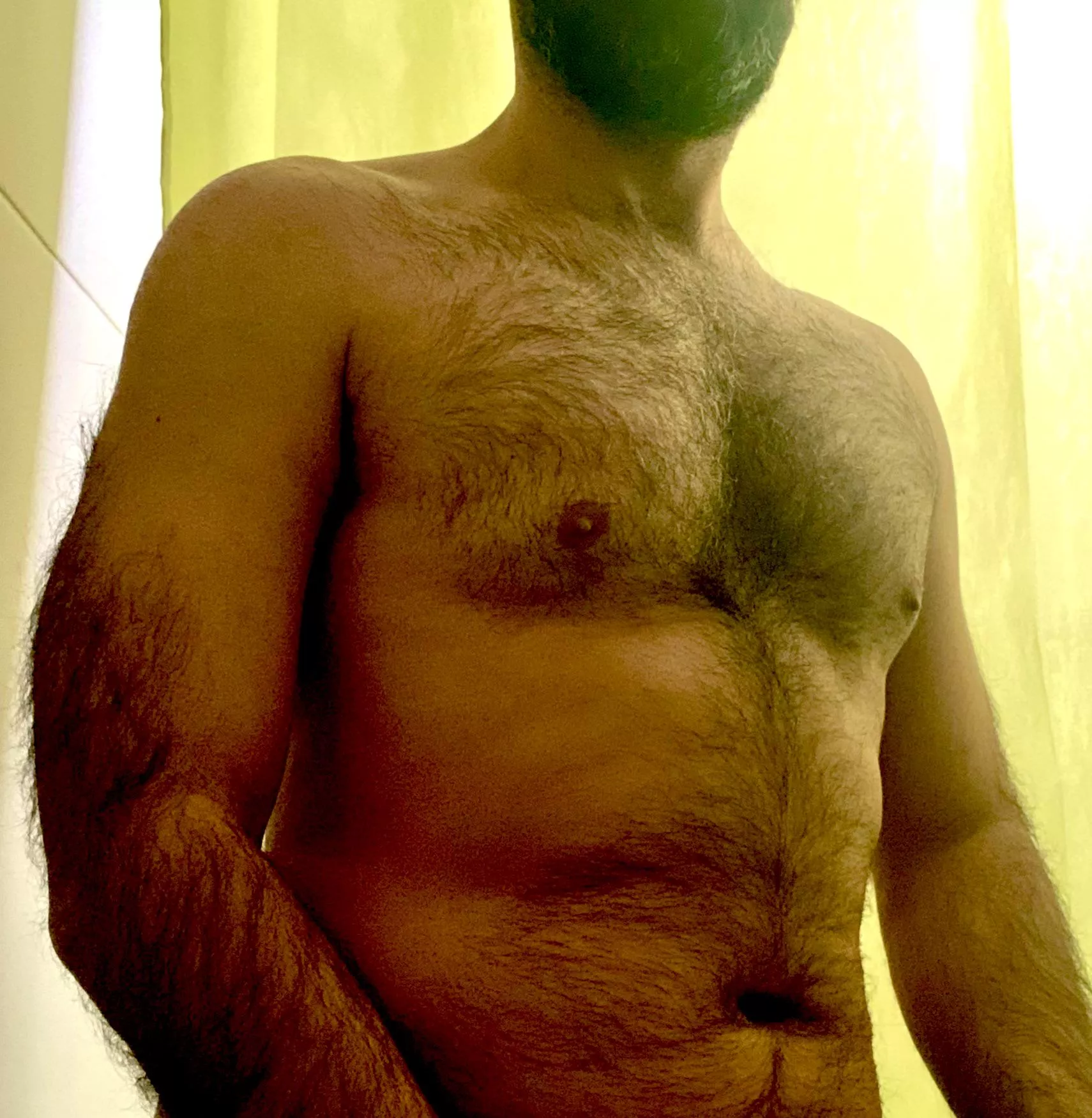 45 hairy dadbod posted by hairyjacko