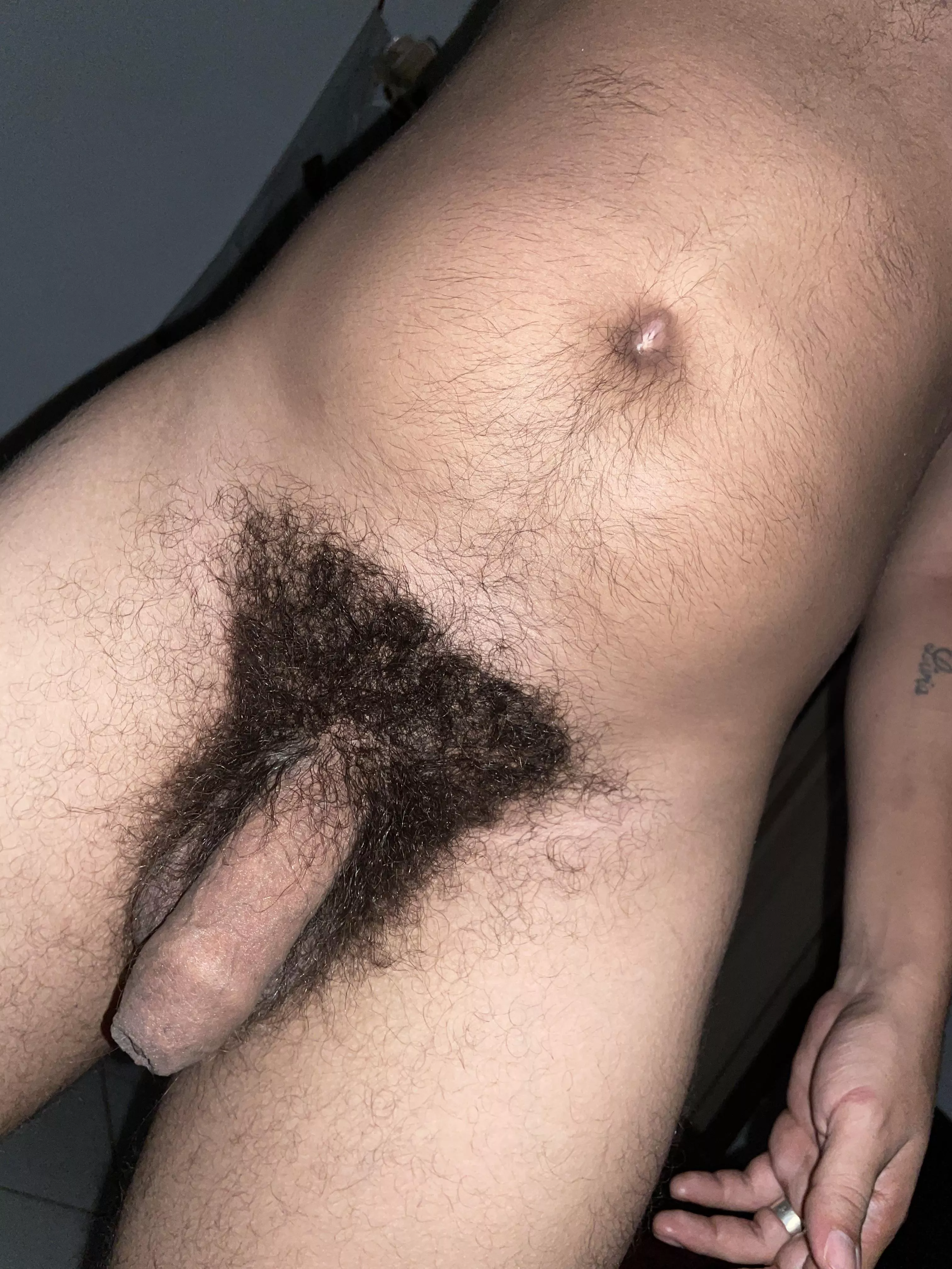 A dense and sweaty bush posted by Western-Ad-7803