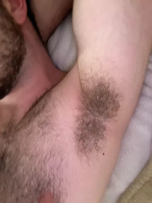 Burry your head by Interesting-Sink-832