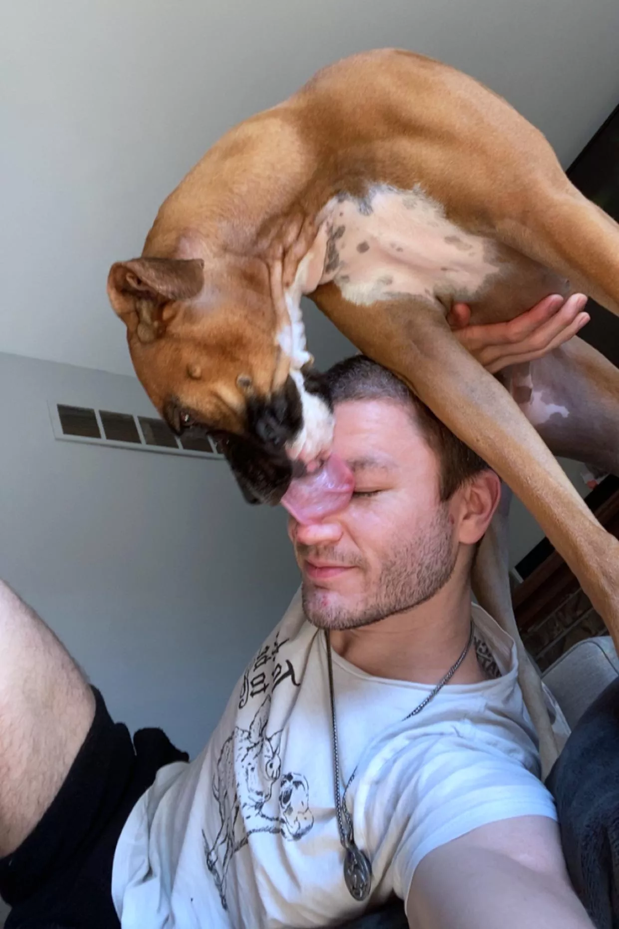 Excuse me are puppies ok here? posted by SuperPuppyNoodleBoy