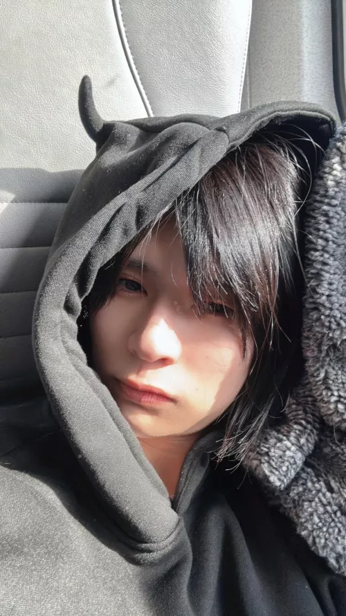 Felt kind of cute!! by siberowl