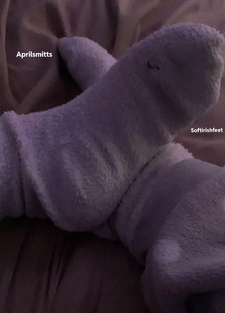 Fluffy socks make my feet sweat but they absorb more so?? In your dreams.. posted by SoftIrishfeet