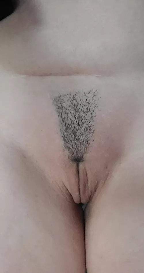 Freshly trimmed simp ready for a workout. by Boobarella55