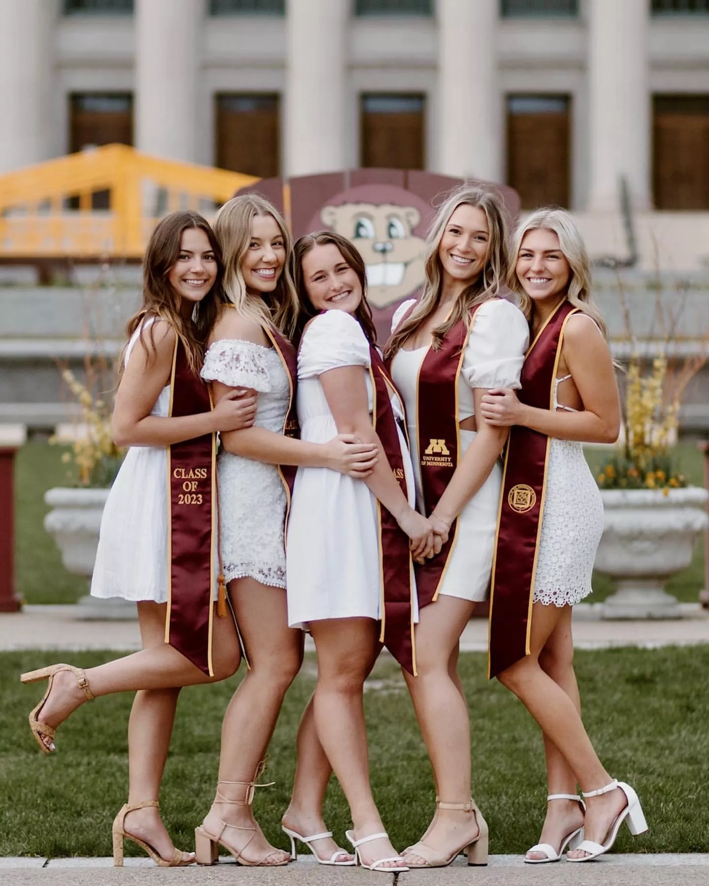 Gophers posted by juanathanluis