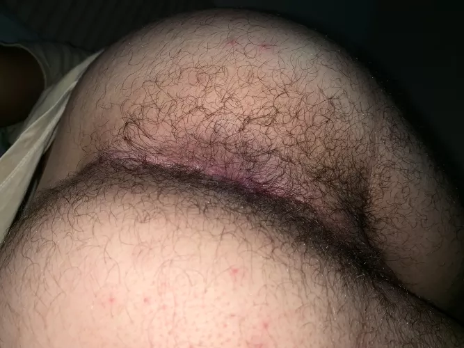 hairy and sweaty by [deleted]