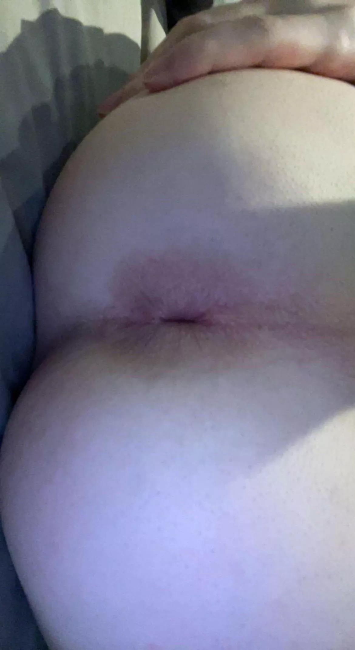 i want u to play with it before u breed me [18] posted by verstwinkboy18