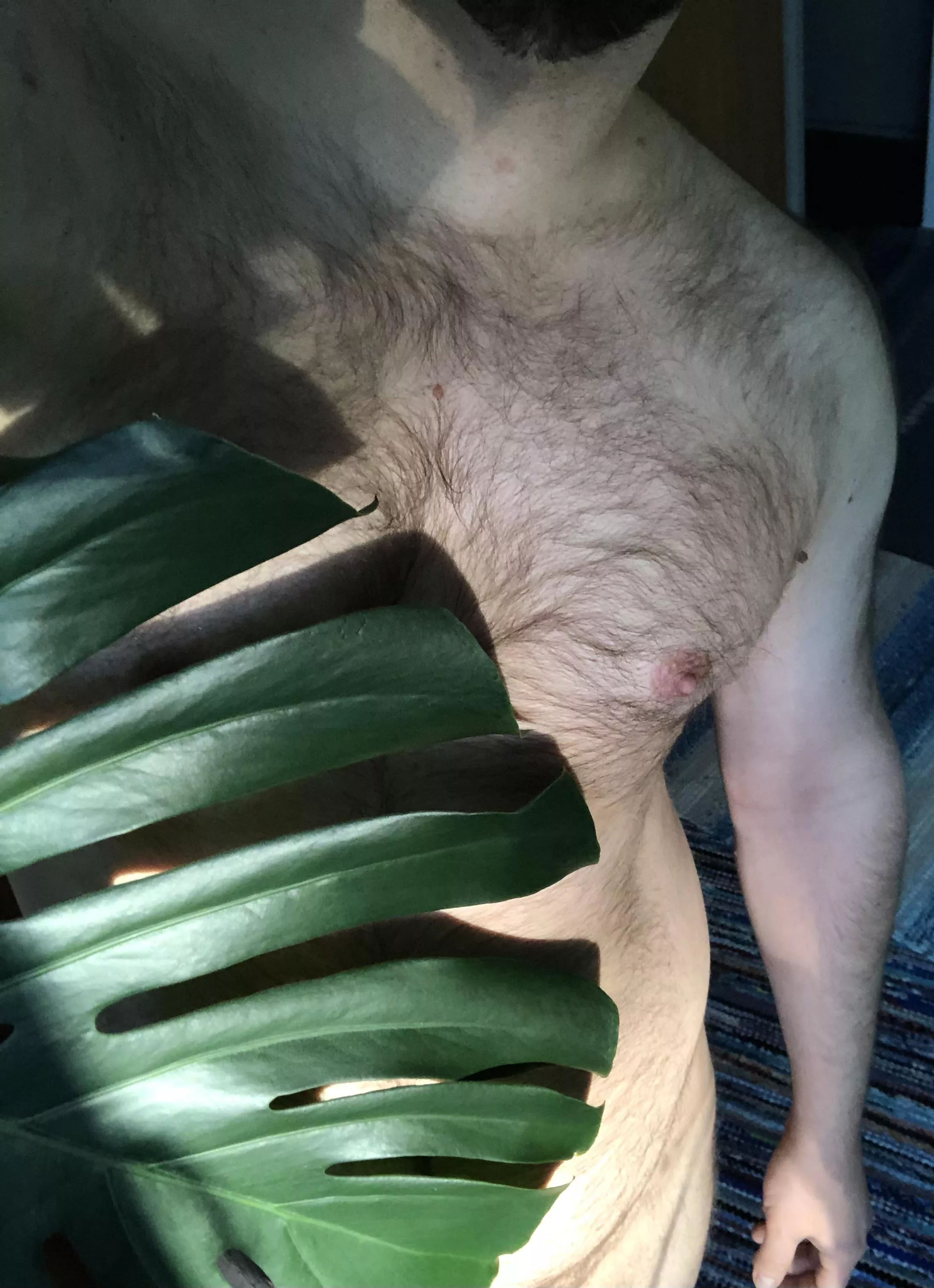 In the (indoor) jungle posted by duckanor