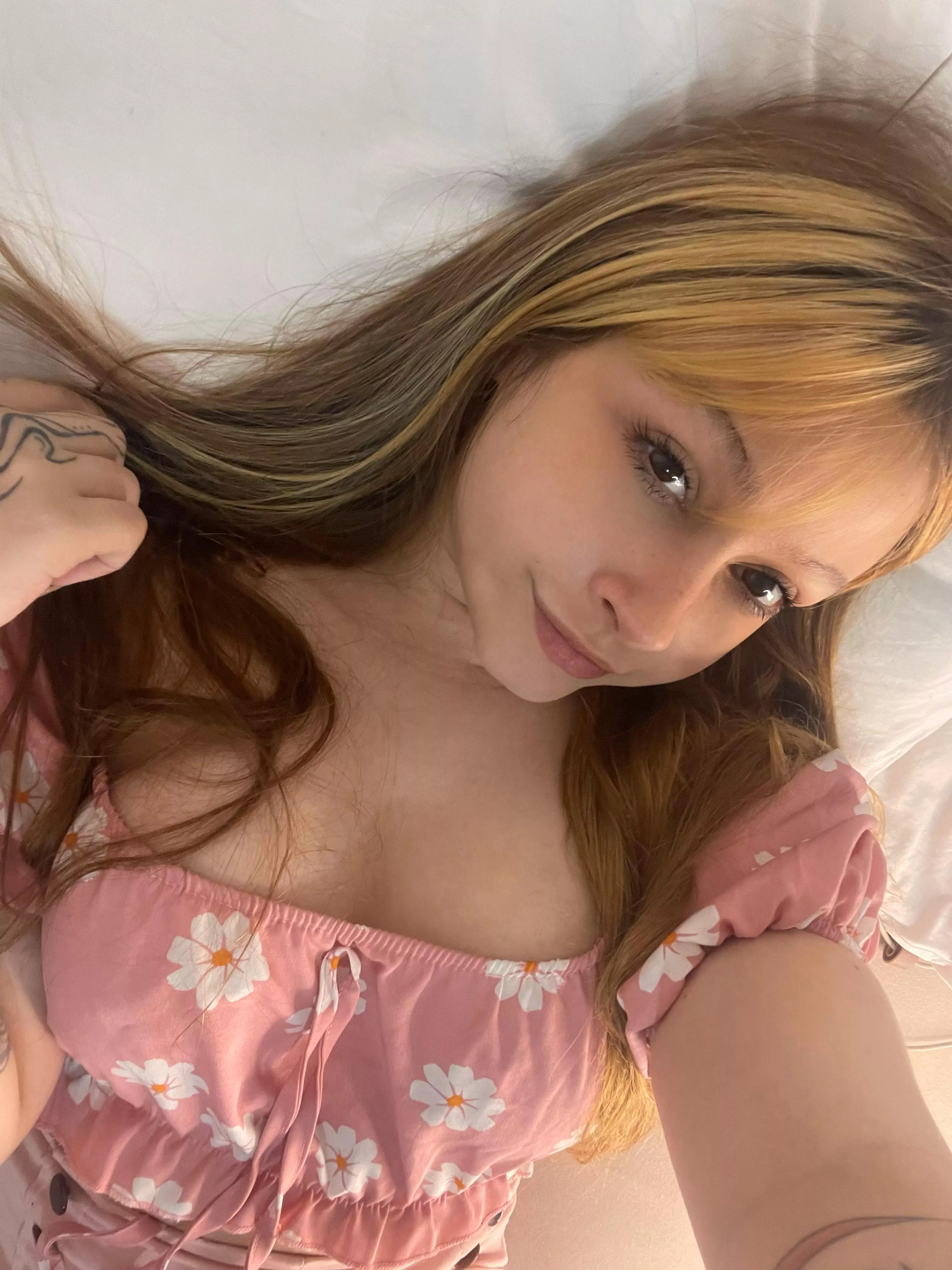 IUTR posted by ieqbislev6