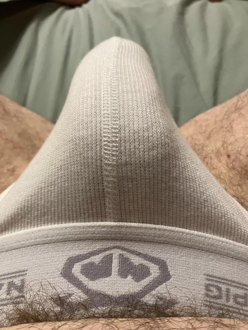 Kiss my bulge 31M posted by jkbfss