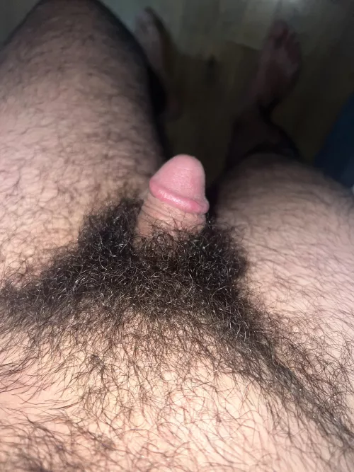 My heavy arab pubes by Former_Judge6015
